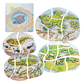 17053 Beleduc Five Layer Puzzle Frog