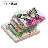 17054 Beleduc Five Layer Puzzle Butterfly