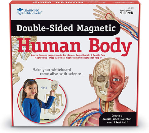 LER6044 Learning Resources Double-Sided Magnetic Human Body