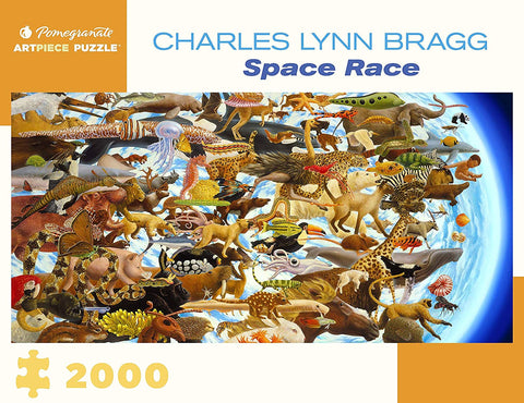 AA1079 Pomegranate Artpiece Charles Lynn Bragg Space Race